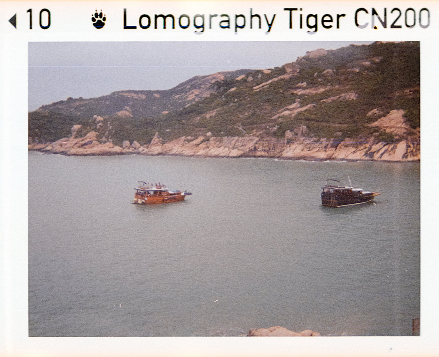 Holga Micro 110 Film Camera + Lomography Color 92 400 110 Film Set