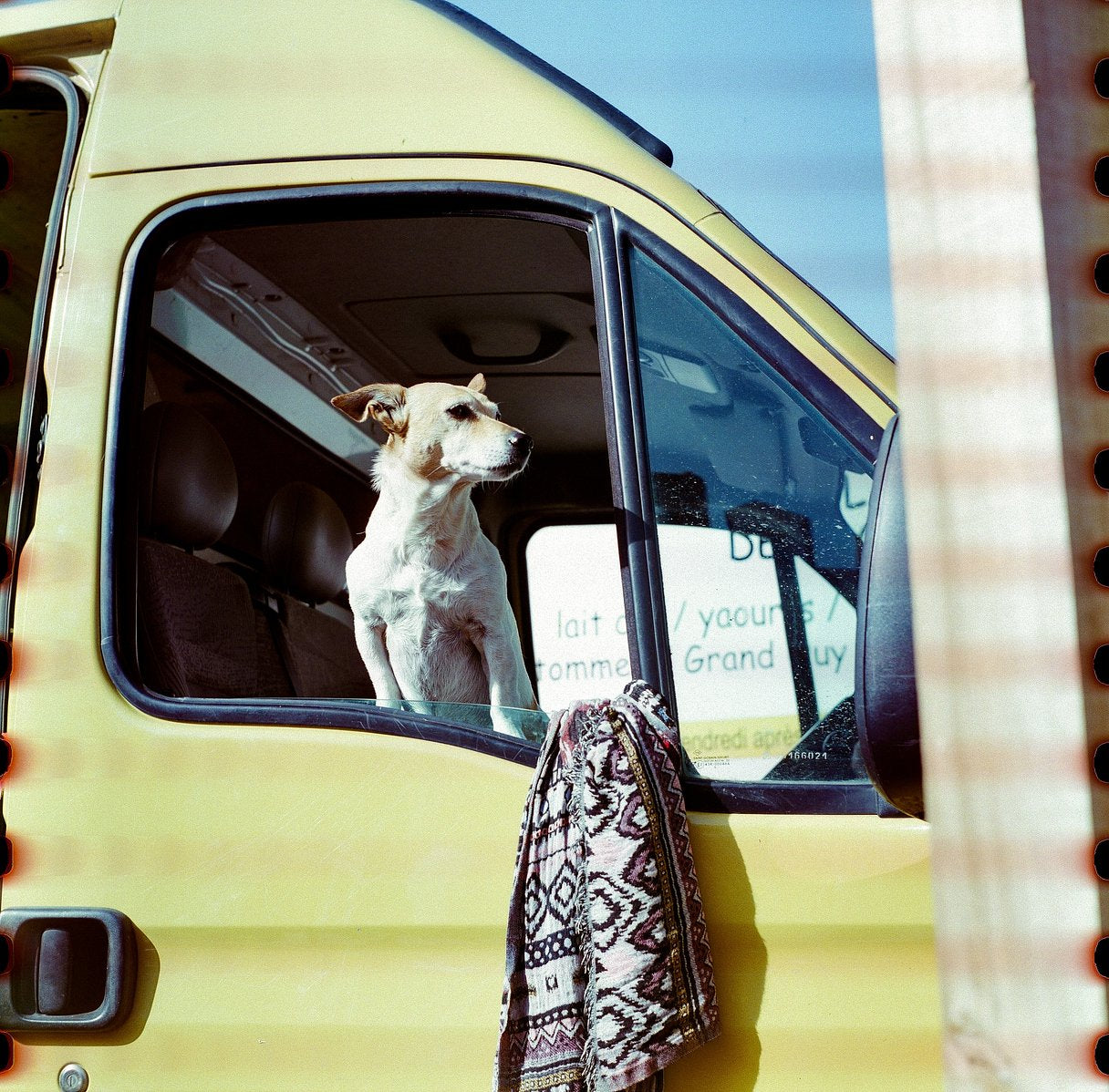 Alien Film 5207/250D 120 Color Negative Film