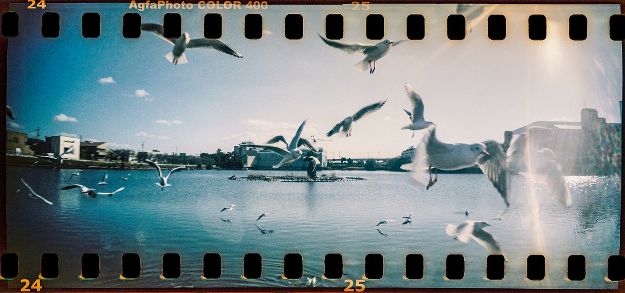 AgfaPhoto Color 400 35mm Film