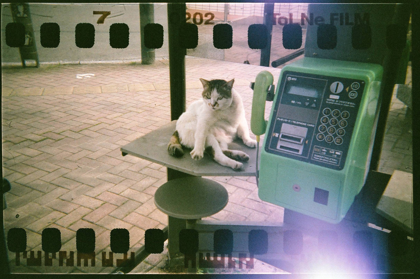 Takara Tomy Tolne 35mm Reusable Film Camera