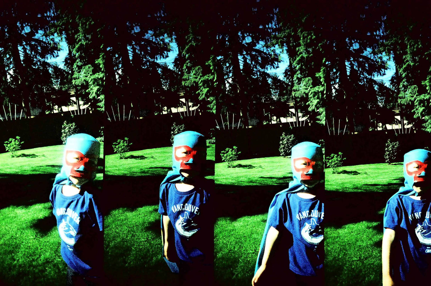 Fujifilm PROVIA 1600 120 Color Reversal Expired Film (1999/07)