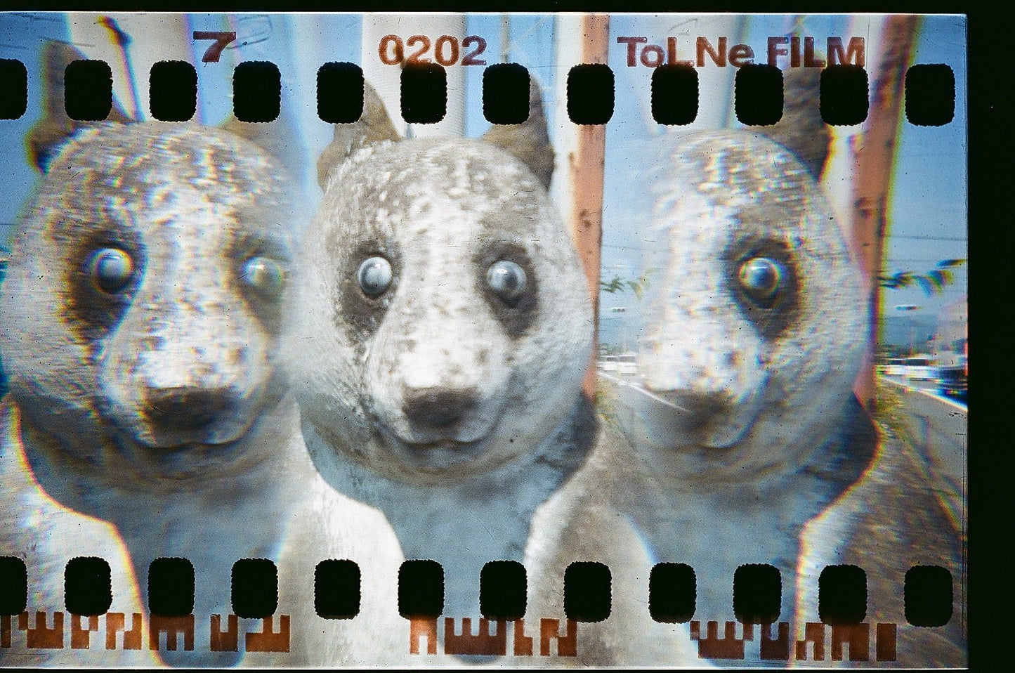 Takara Tomy Tolne 35mm Reusable Film Camera