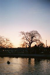 CineStill 800T Color Negative 35mm Film 36EXP