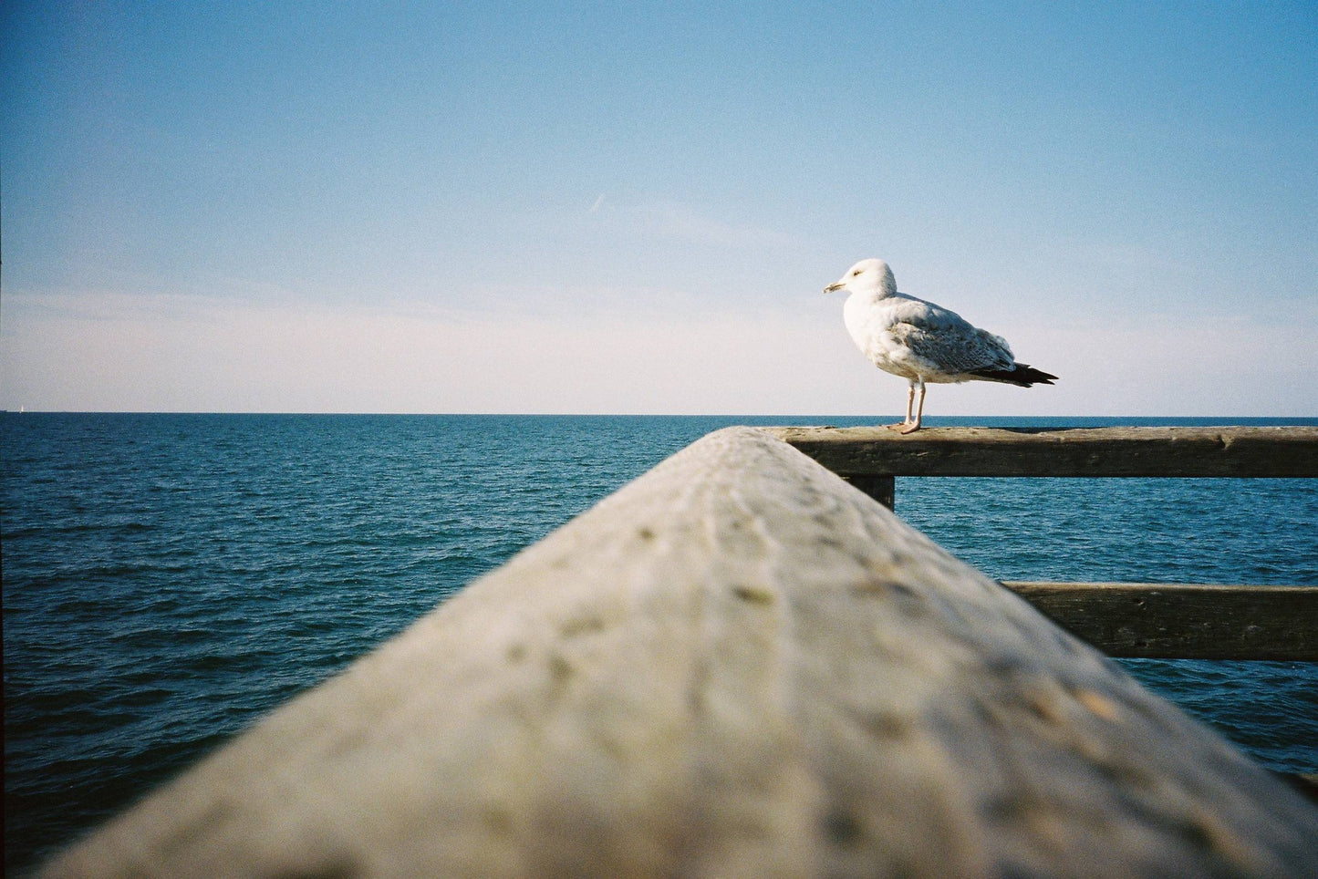 Kodak Portra 400 120 Color Film