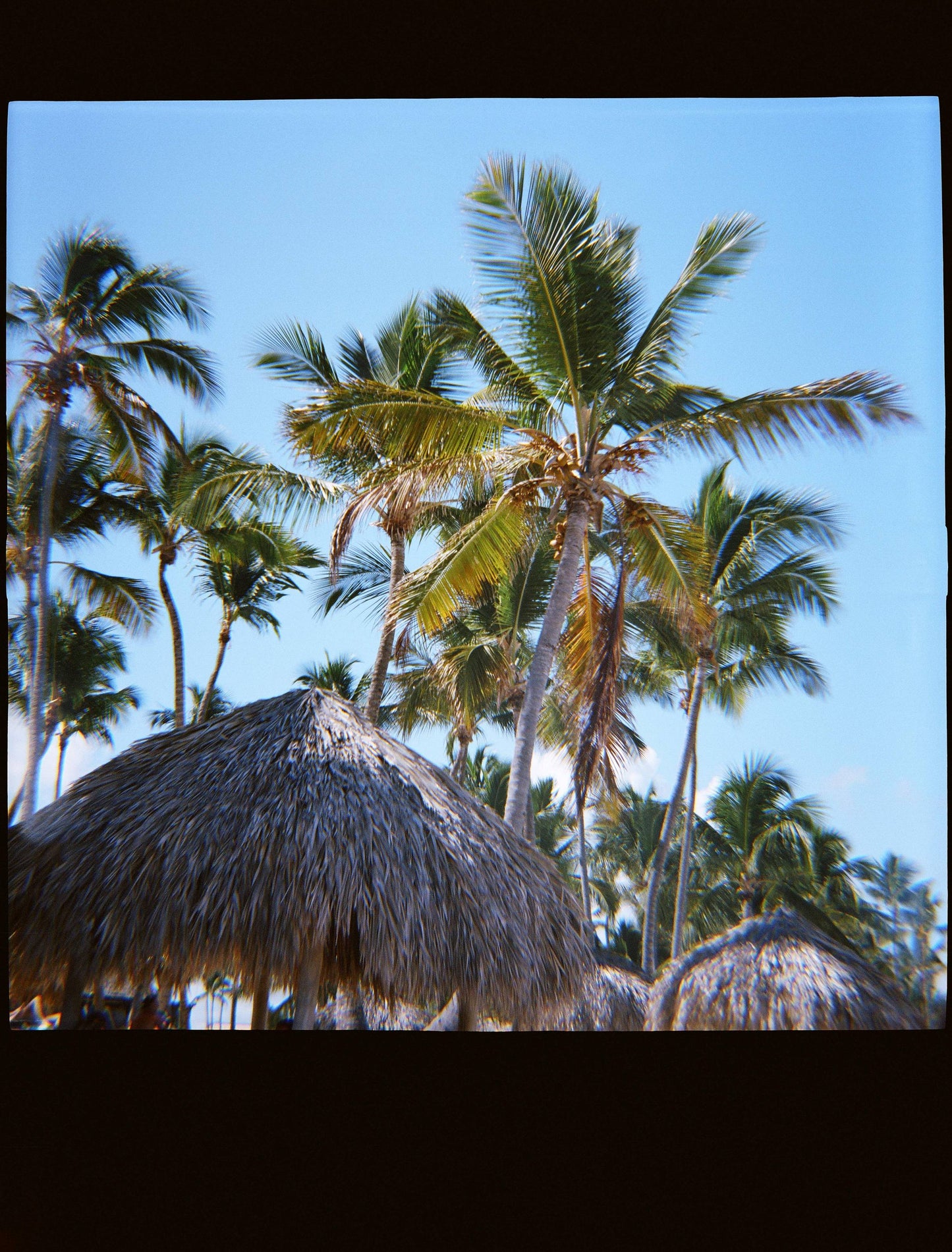 Kodak Portra 400NC Color Expired Film 36exp (2005/07) (roll)
