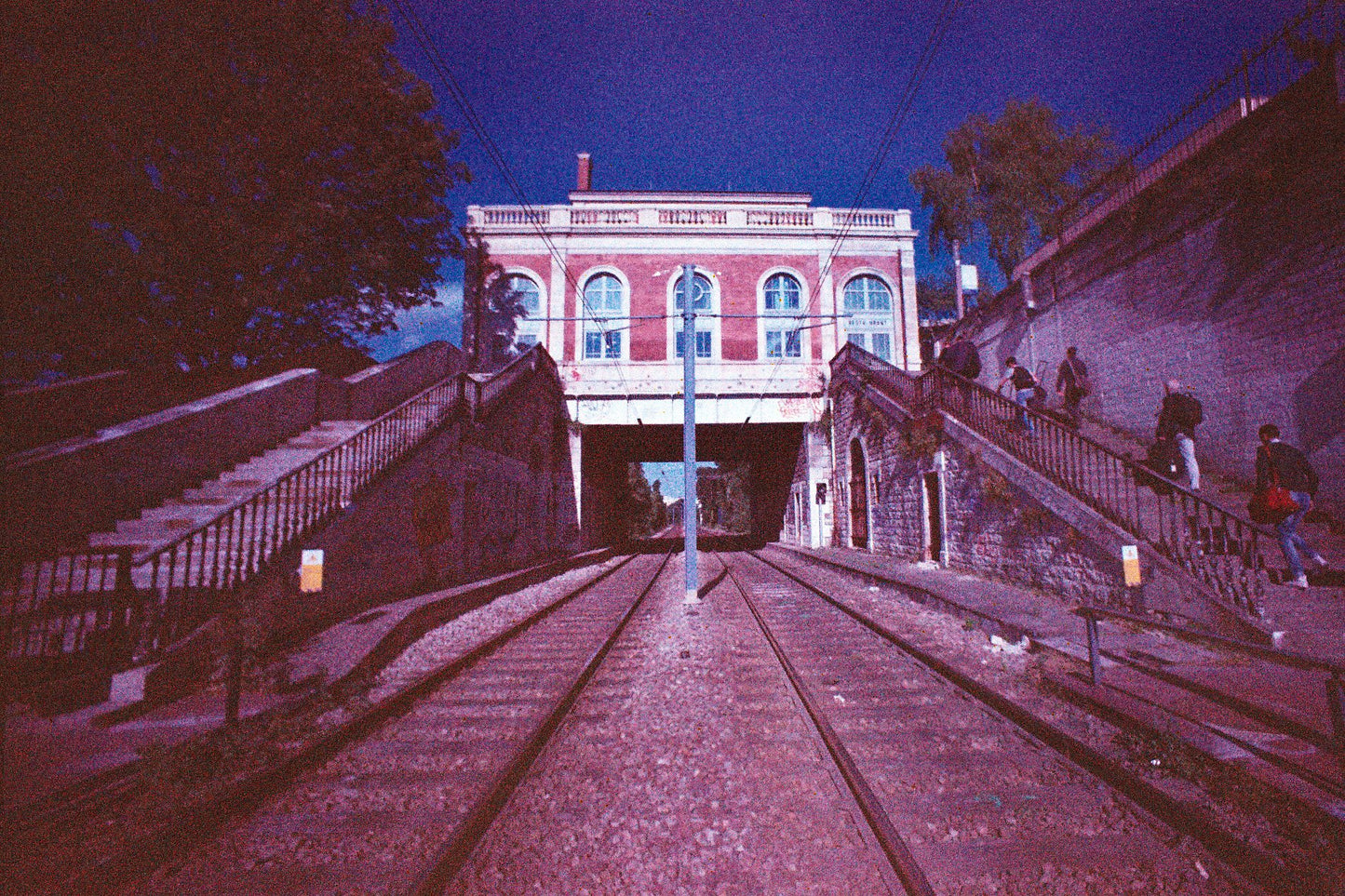 Konica XG 400 24exp Expired Film (1995/09)