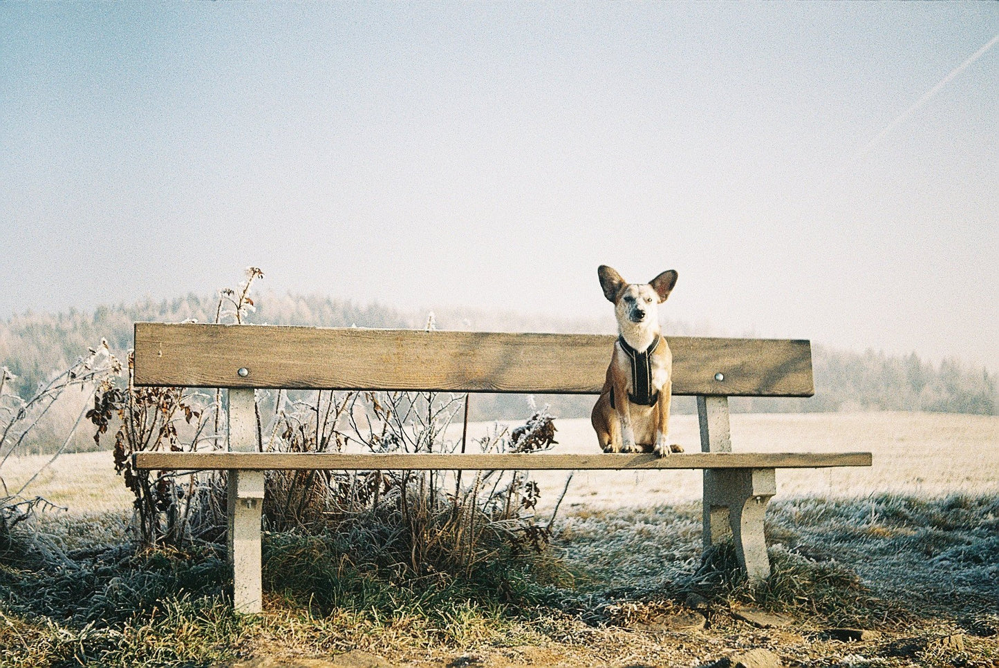 Fujifilm Fujicolor 200 36exp 35mm Color Film (roll)