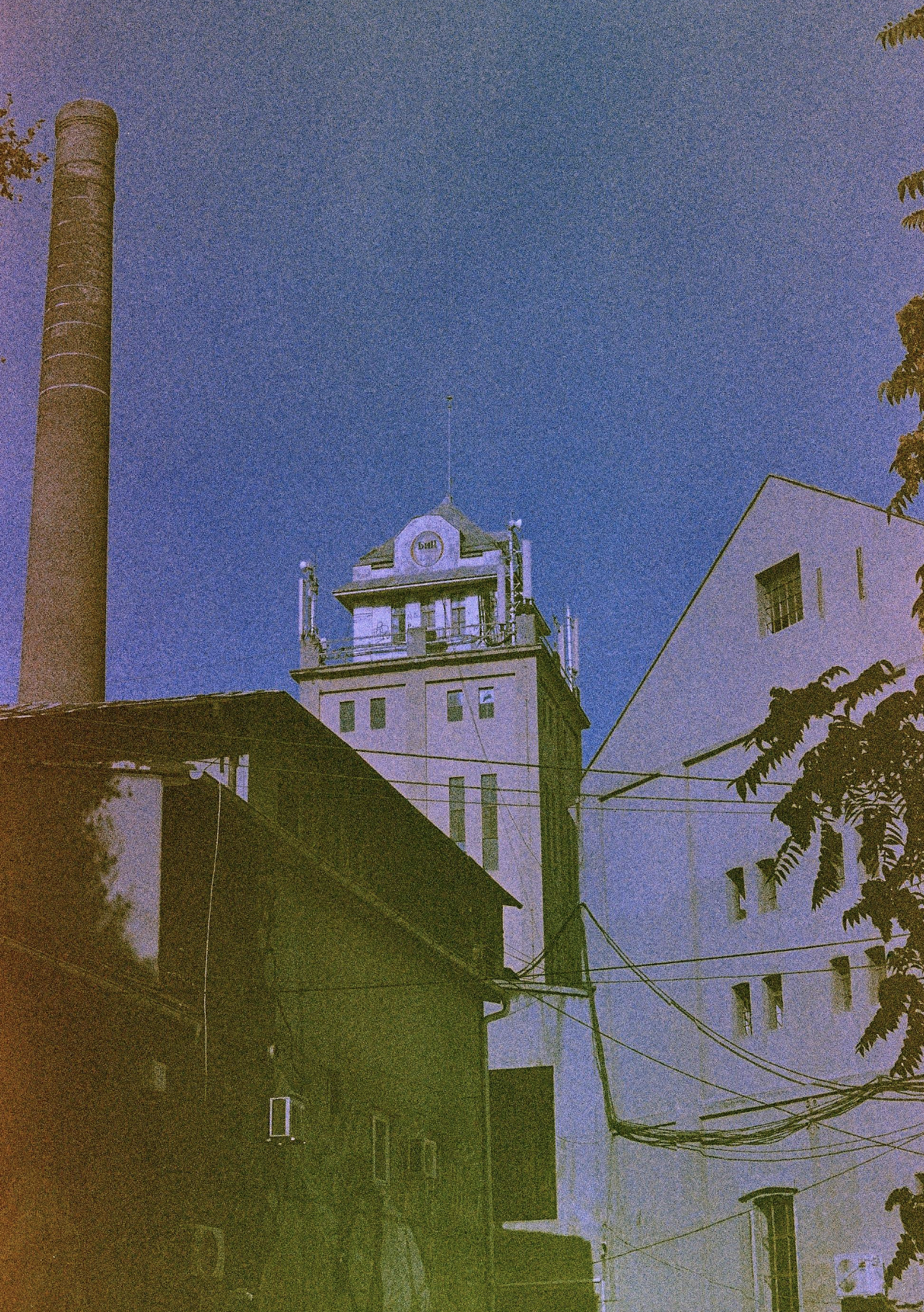 Sakuracolor SR-100 24exp Expired Film (1986/07)