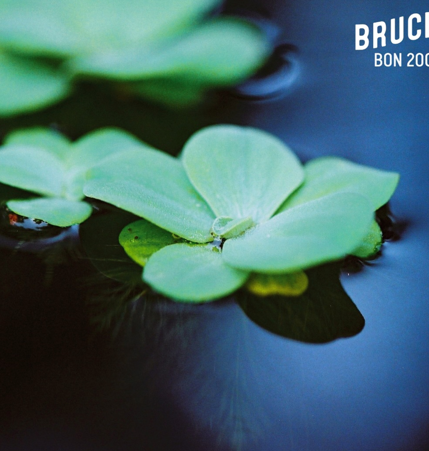 Bruce BON ISO 200 Color 36exp Color Negative Film