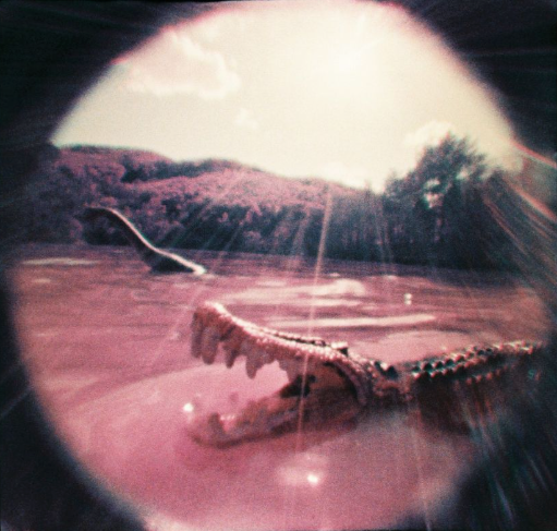 Lomography Fisheye Baby 110 菲林相機