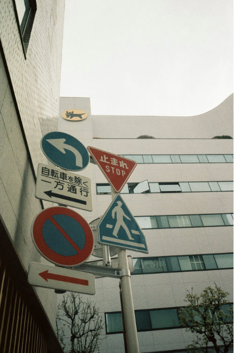 Escura Showa ISO 400 Color 30exp Negative Film