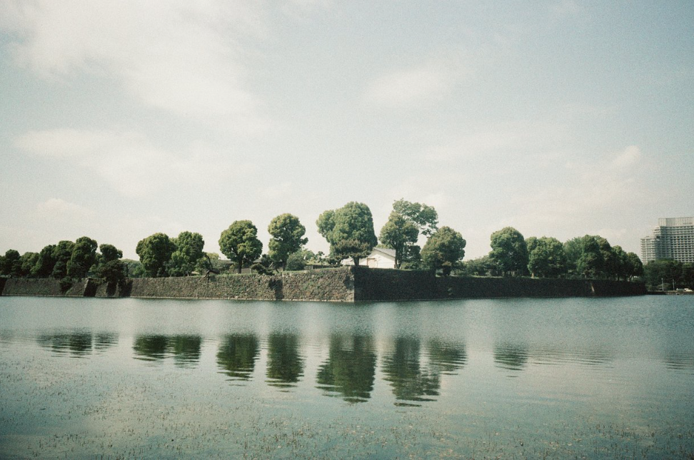 Escura Showa ISO 400 Color 30exp Negative Film