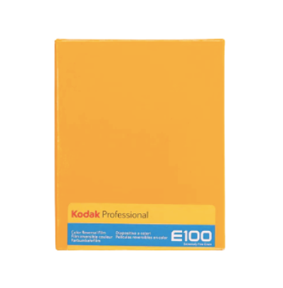 Kodak Ektachrome E100 4x5” 10 Sheets