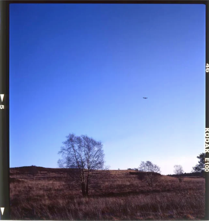 Kodak Ektachrome E100 4x5” 10 Sheets