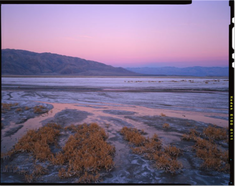 Kodak Ektachrome E100 4x5” 10 Sheets