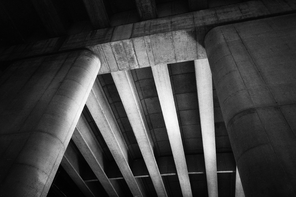 Alien Pan 100 Black and White 35mm Film