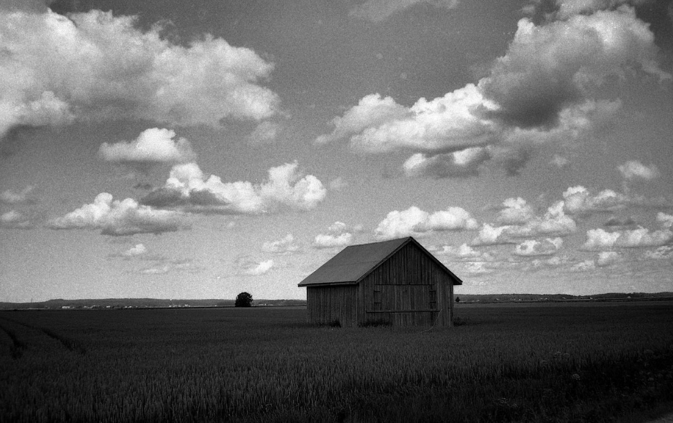 Alien Pan 100 Black and White 35mm Film