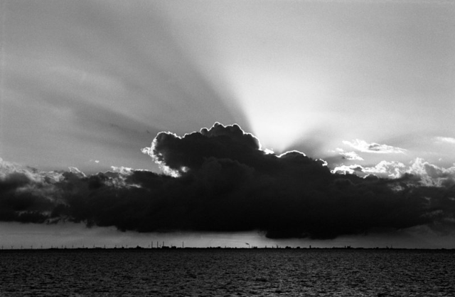 Alien Pan 400 Black and White 35mm Film