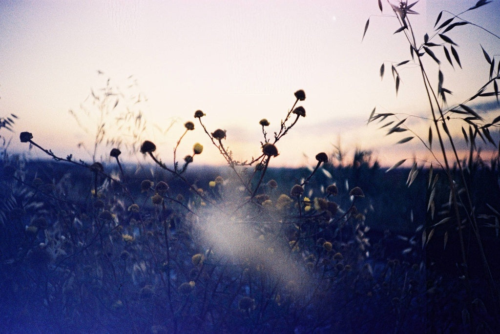Fujifilm PROVIA 100F 36exp Color Reversal Expired 35mm Film