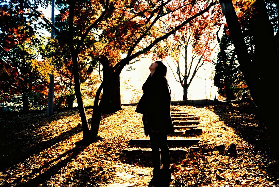 Lomography X PRO CHROME 100 36exp Expired Film (2012/11)