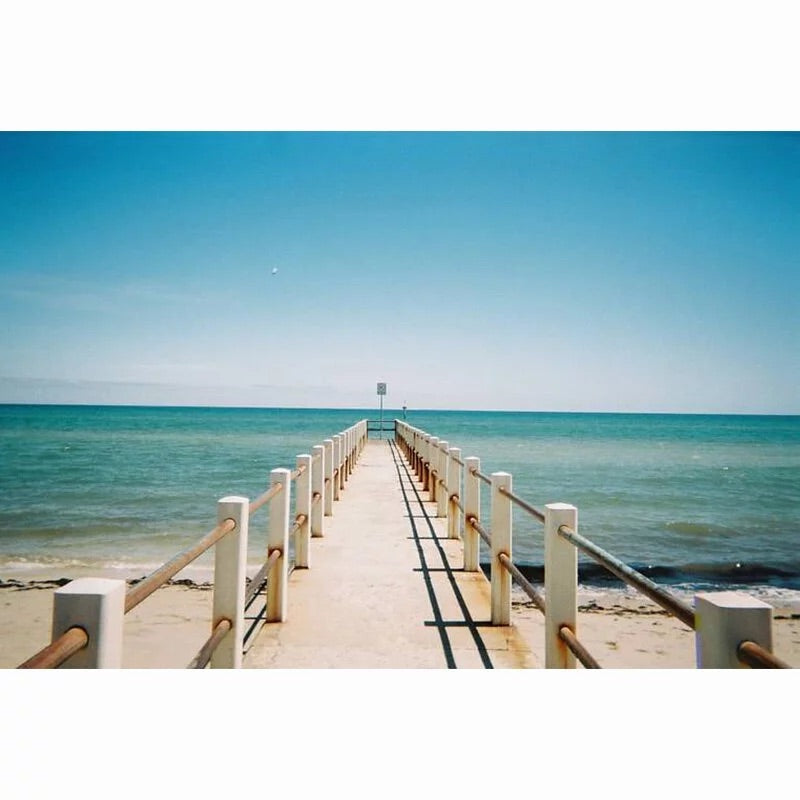 Fujifilm Simple Ace 27exp Disposable Camera