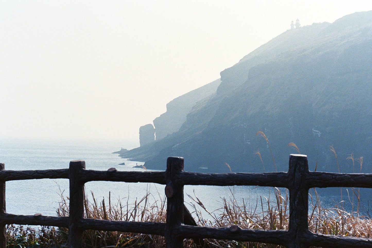 Ninoco 400 35mm Color expired film (2024/05)