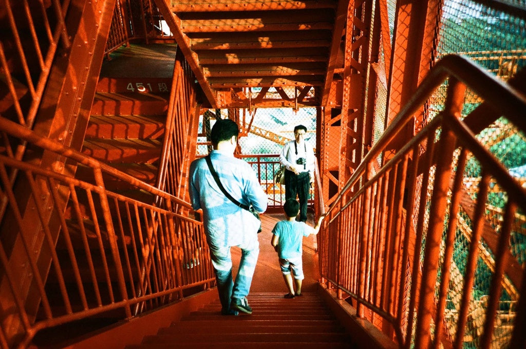 Fujifilm PROVIA 100F 36exp Color Reversal Expired 35mm Film