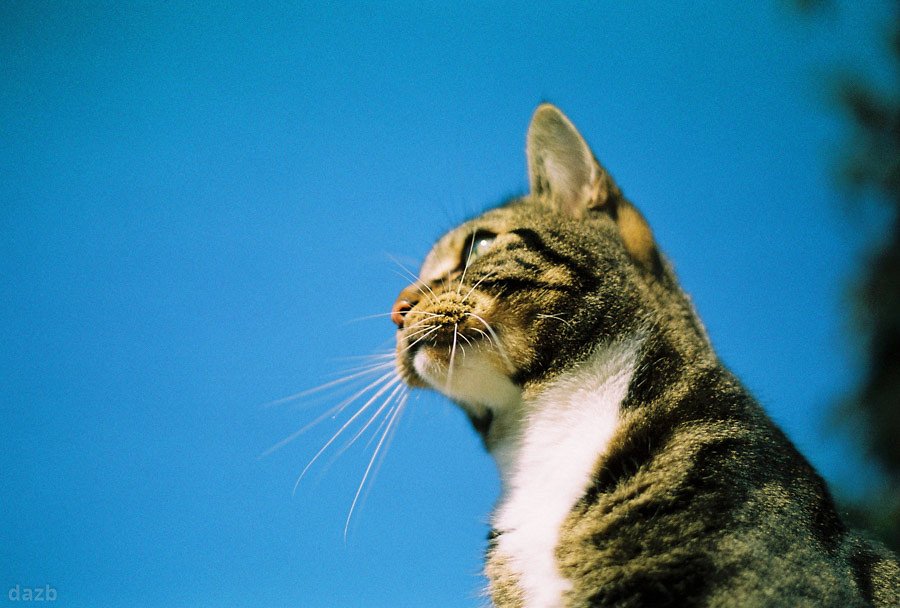 Agfa Photo Ultra 100 36exp Expired Film (2007/12)