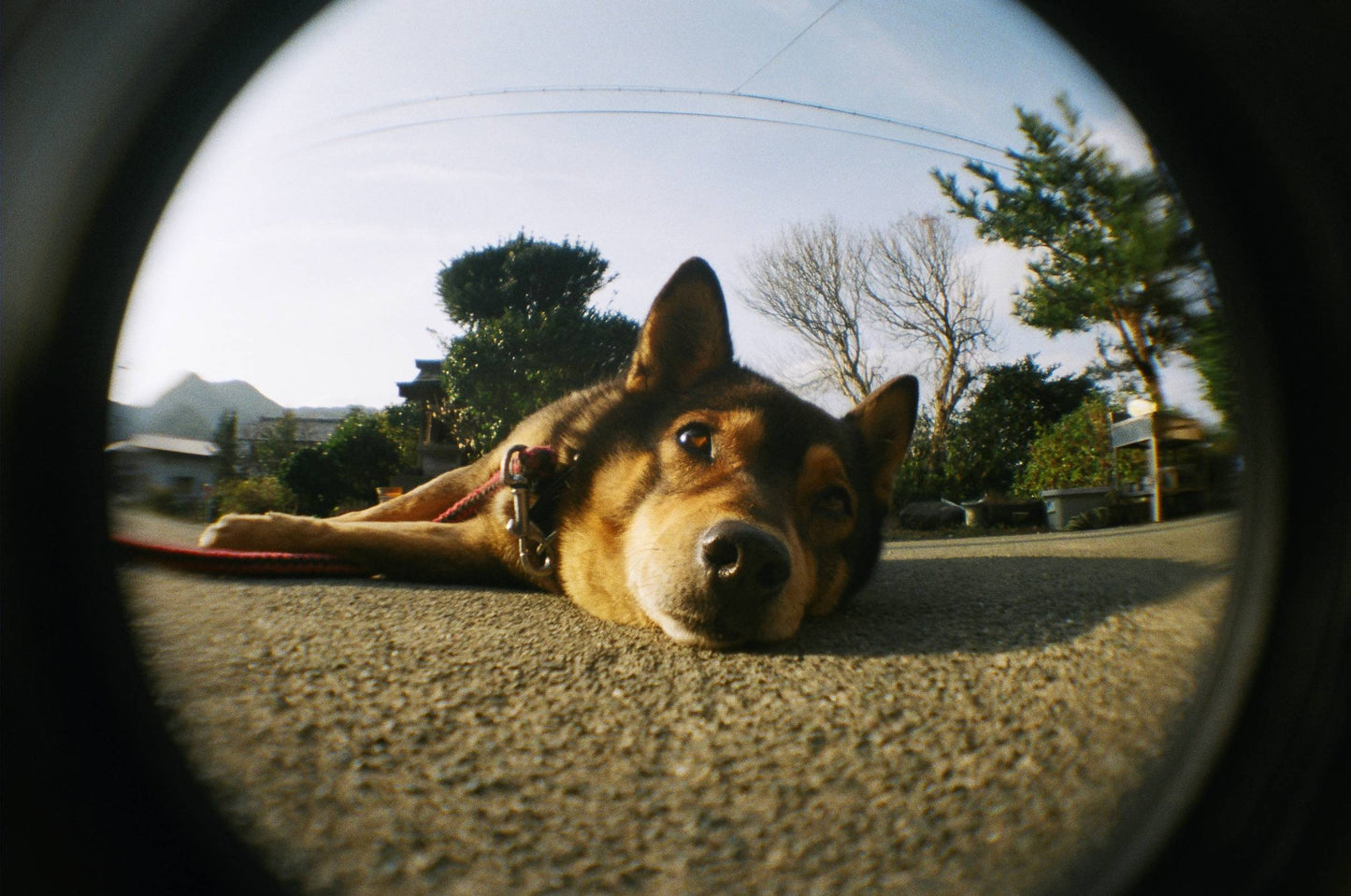 Holga K200NM Fisheye 魚眼相機 35mm Film Reusable Camera
