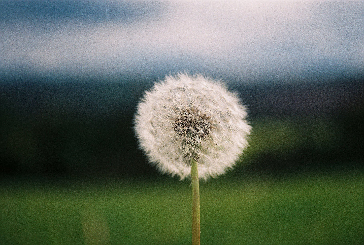 Fujifilm Fujicolor 200 36exp 35mm Color Film (roll)