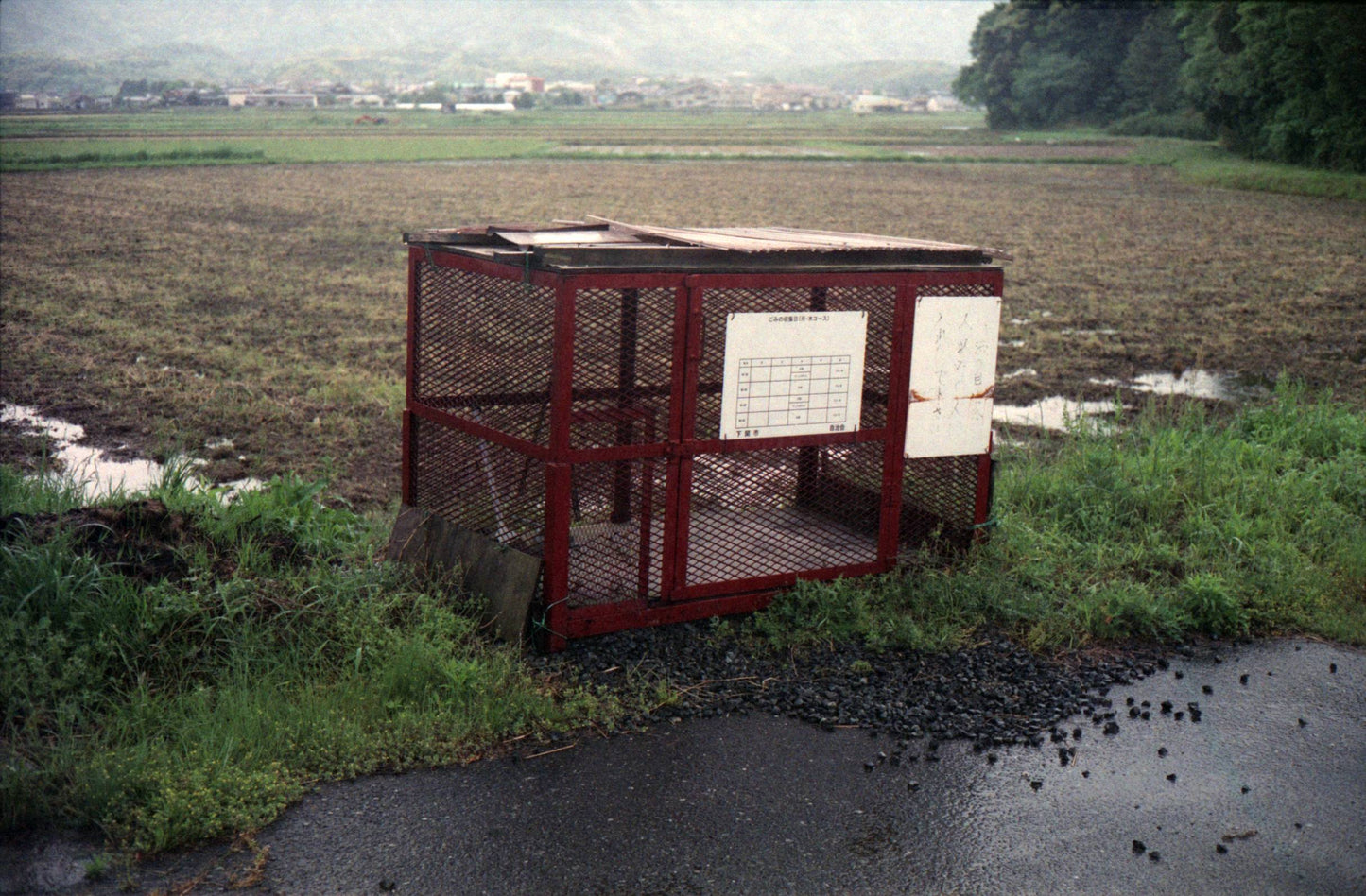 Fujifilm Super 400 24exp Expired Film