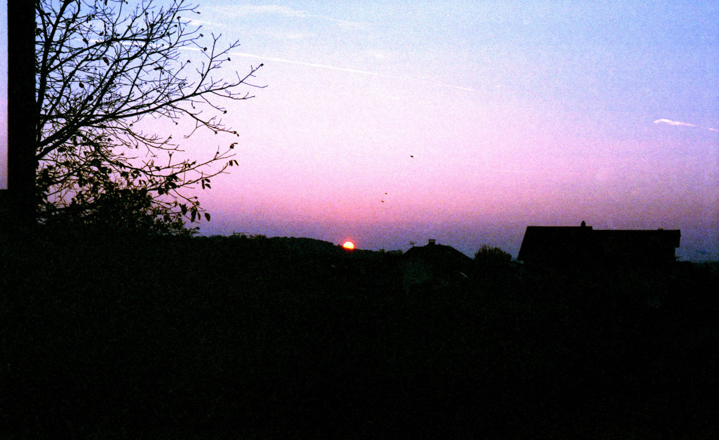 Agfa Photo Ultra 100 36exp Expired Film (2007/12)