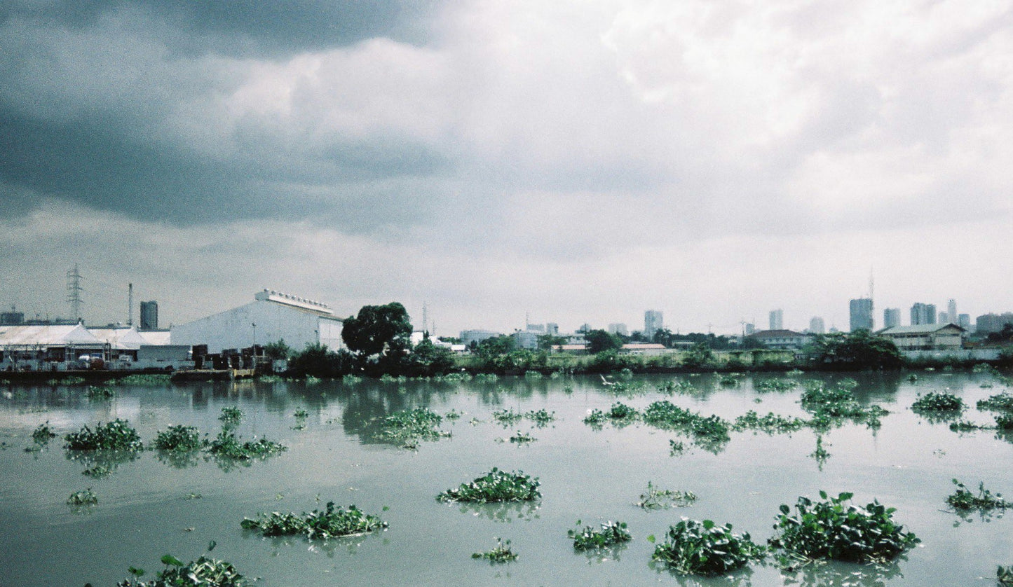 Fujifilm Nexia 400 25exp expired APS Film (roll)