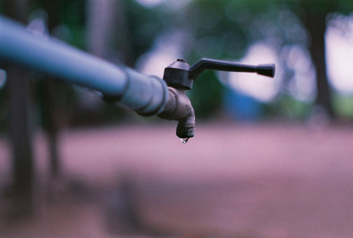 Agfa Photo HDC Plus 100 27exp Expired Film (2002-2003)