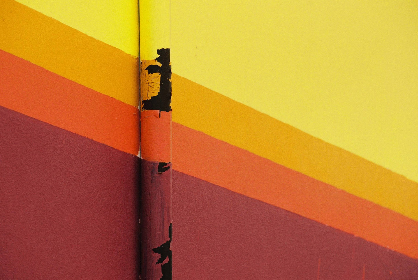 Kodak Gold 200 35mm 24exp Color Film (roll)