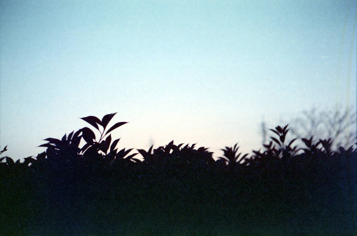 Fujifilm Super 400 24exp Expired Film