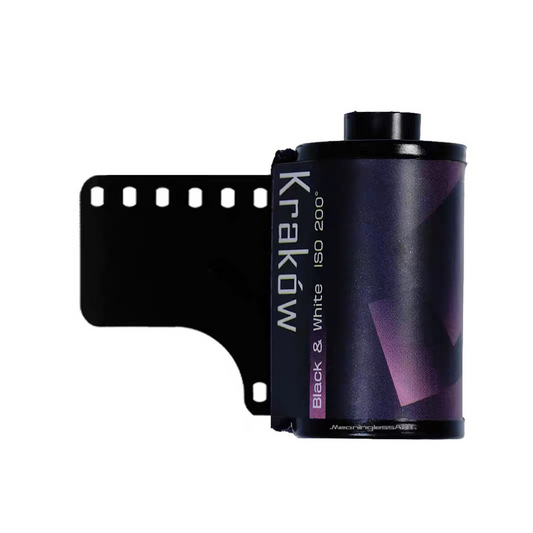 MeaninglessART Slavich 200 Black and White Film