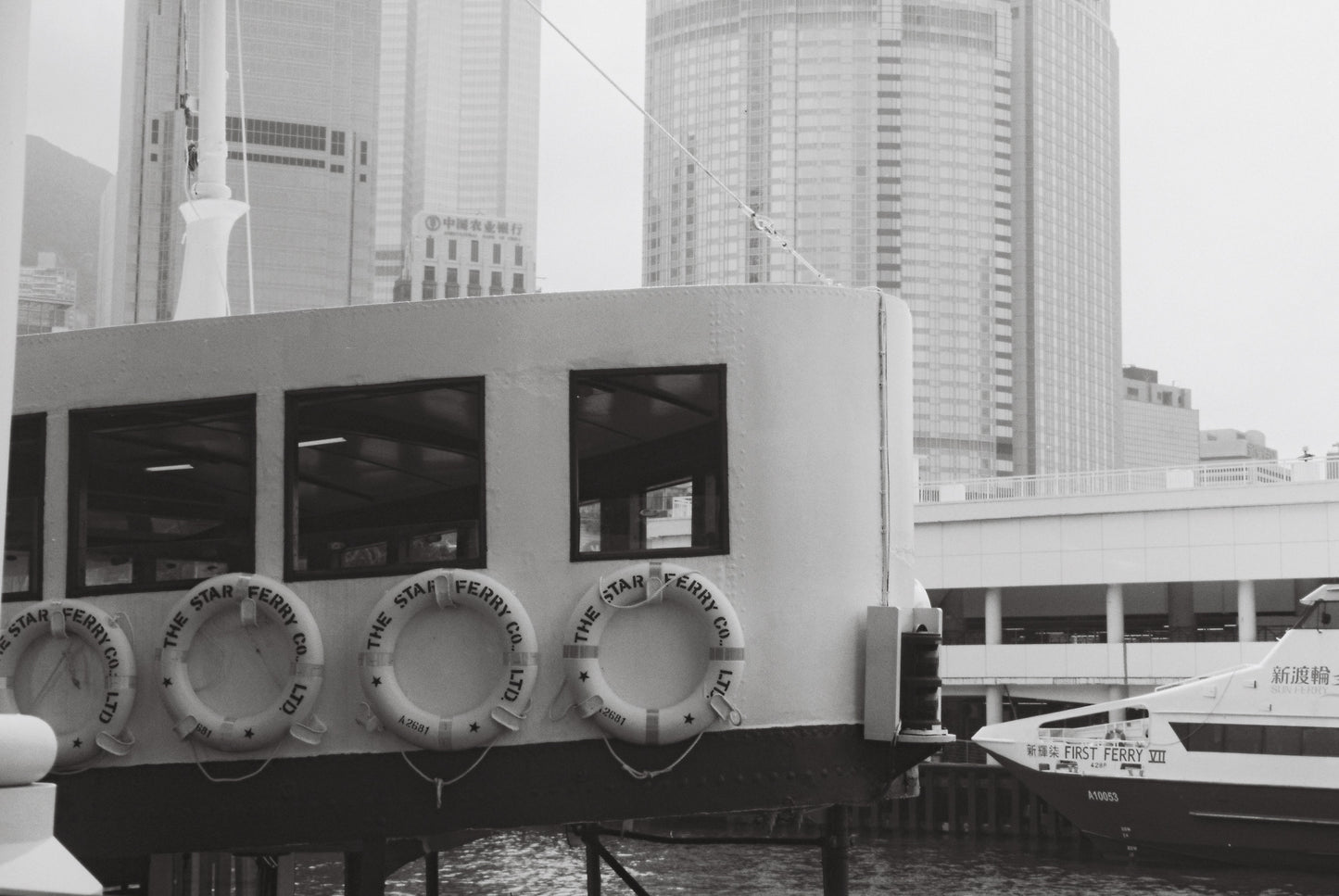 meaninglessART 35mm ISO 1 B&W Direct Positive 35MM Film