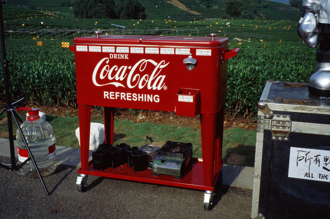 Reflx Lab 100R Color Reversal 35mm Film 36EXP