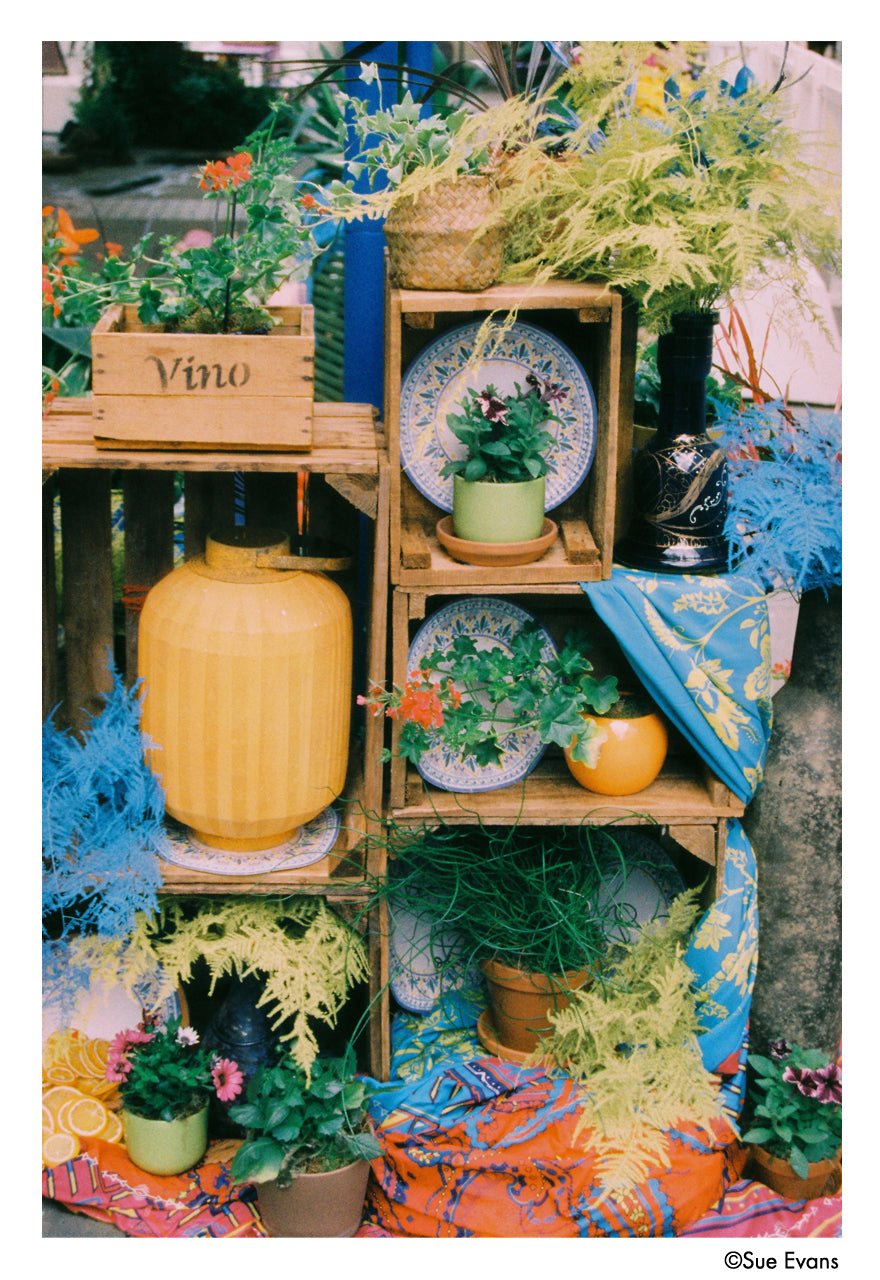 HARMAN Phoenix II 35mm 36exp