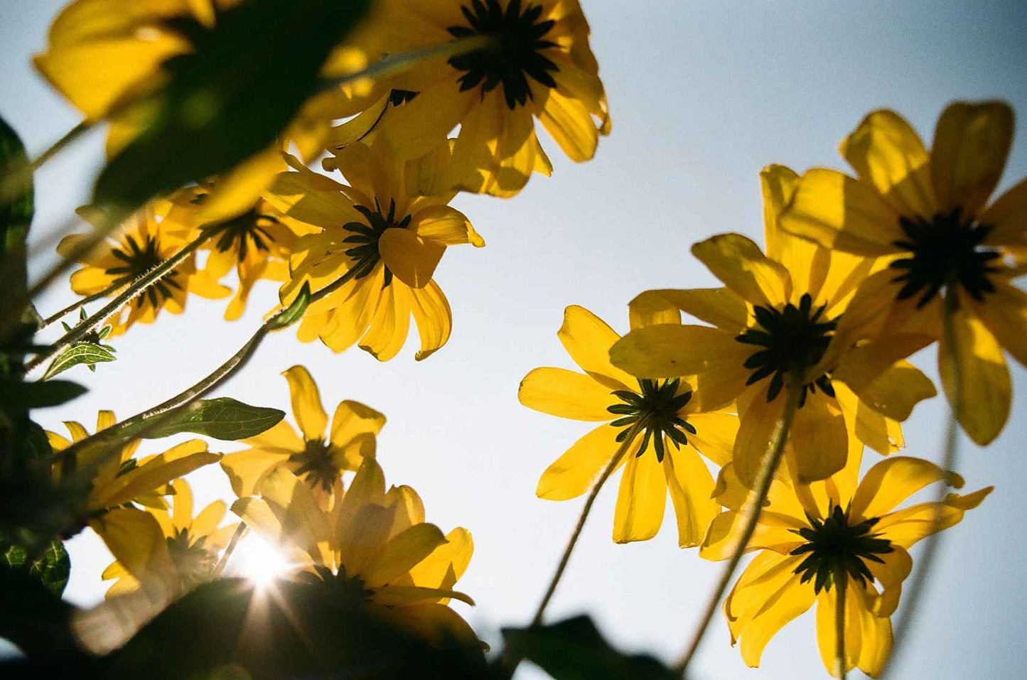 Kodak Kodacolor 100 36exp 35mm film