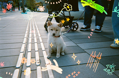 RETOCOLOR CAT'CHA 400 27exp Disposable Camera即棄相機