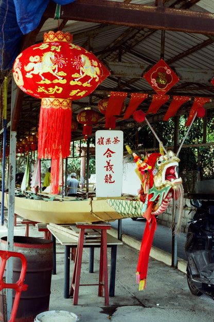 Alien AHU 5207/250D 36exp 35mm Film