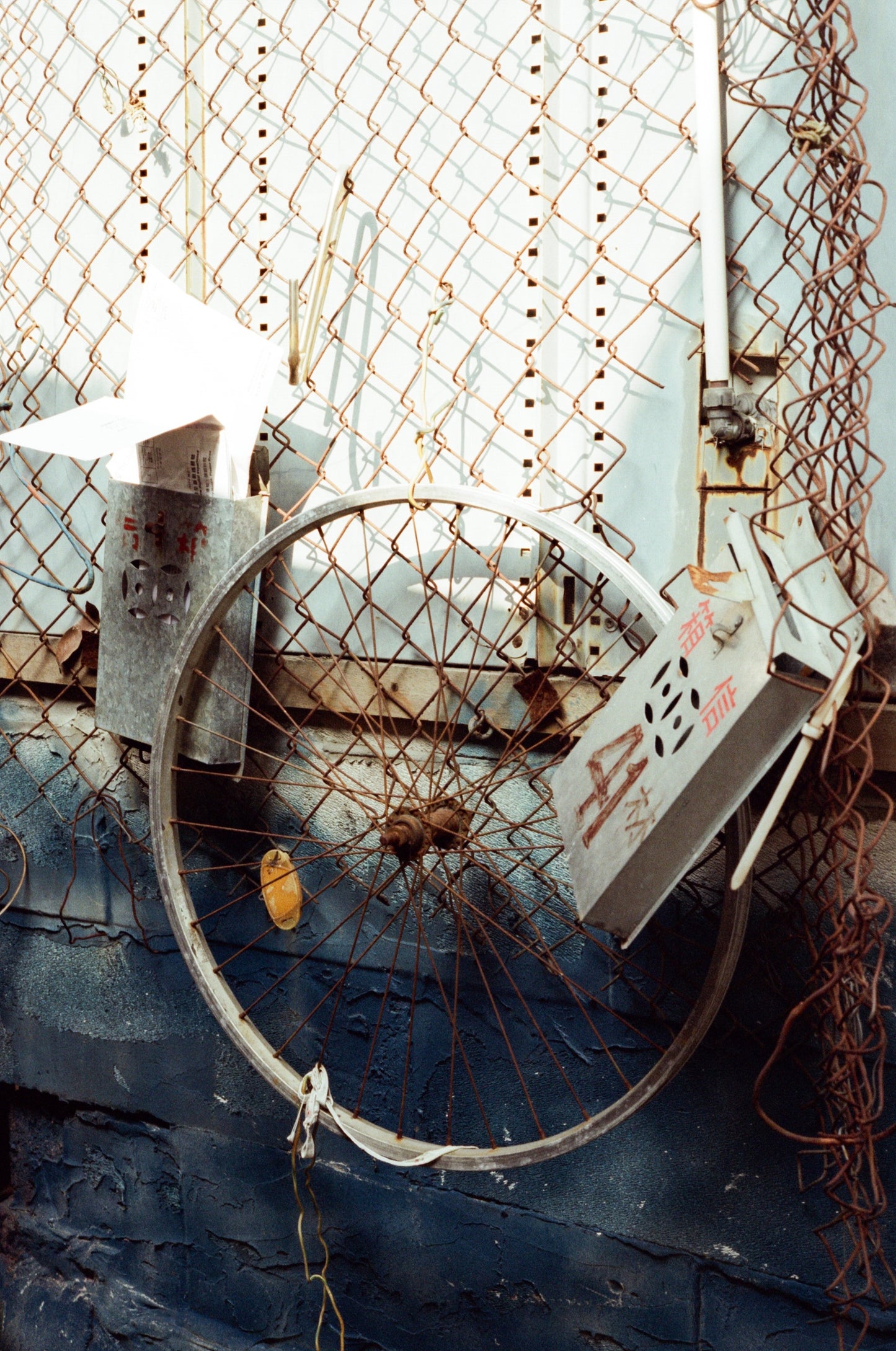 Alien AHU 5207/250D 36exp 35mm Film