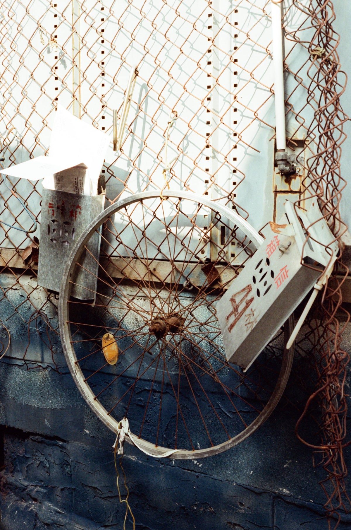 Alien AHU 5207/250D 36exp 35mm Film