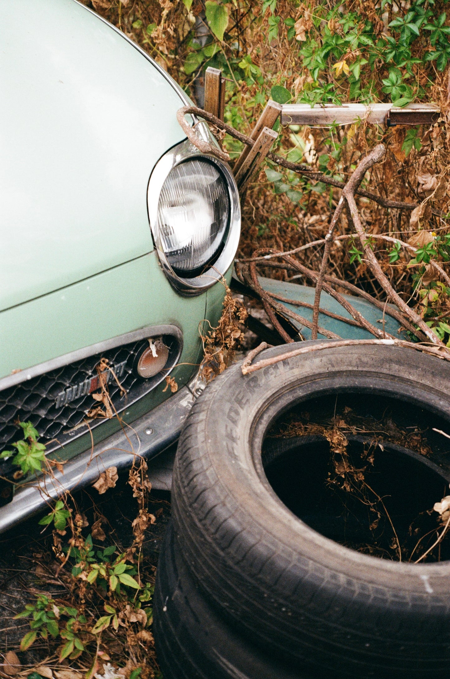 Bruce BON ISO 200 Color 36exp Color Negative Film