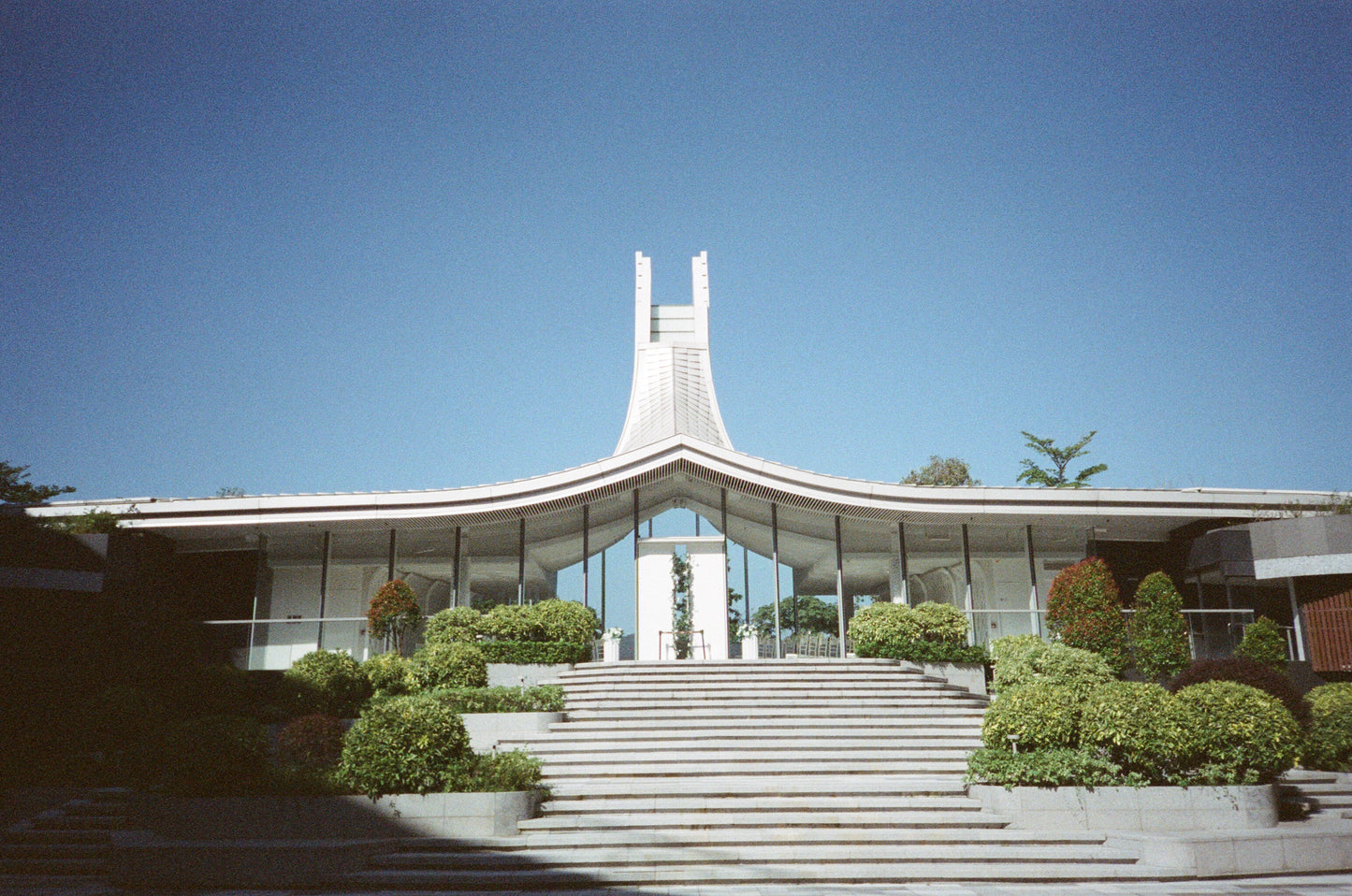 Fujifilm Superia 800 35mm Expired Film