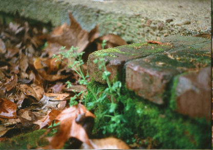 Kodak 5294 100D Reversal 36exp 35mm film