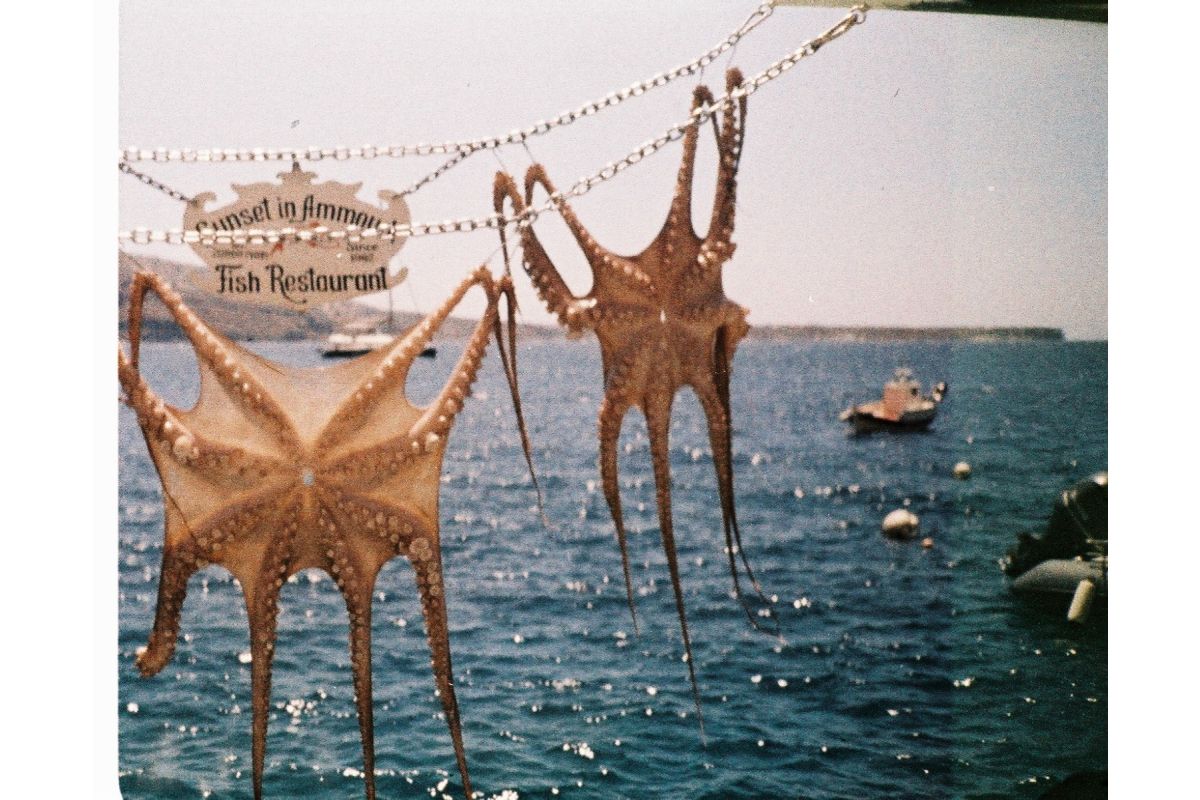 Lomography Analogue Pocket Trio 110 菲林三重奏套裝