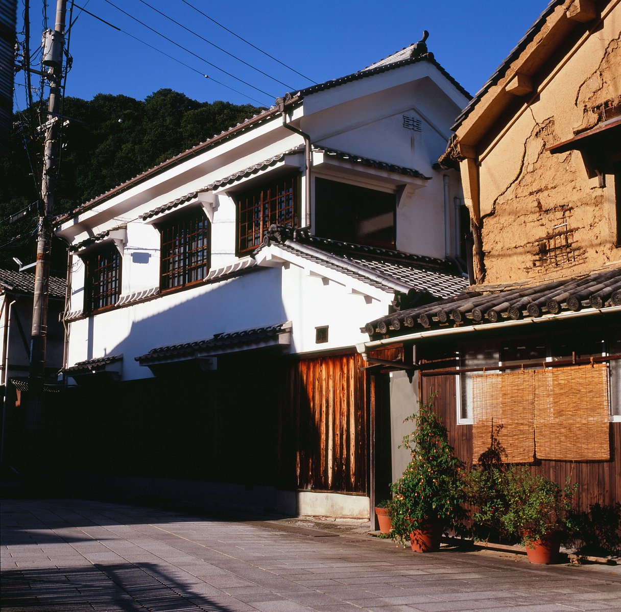 Fujifilm Velvia 100 120 Reversal Expired Film (06/2021)